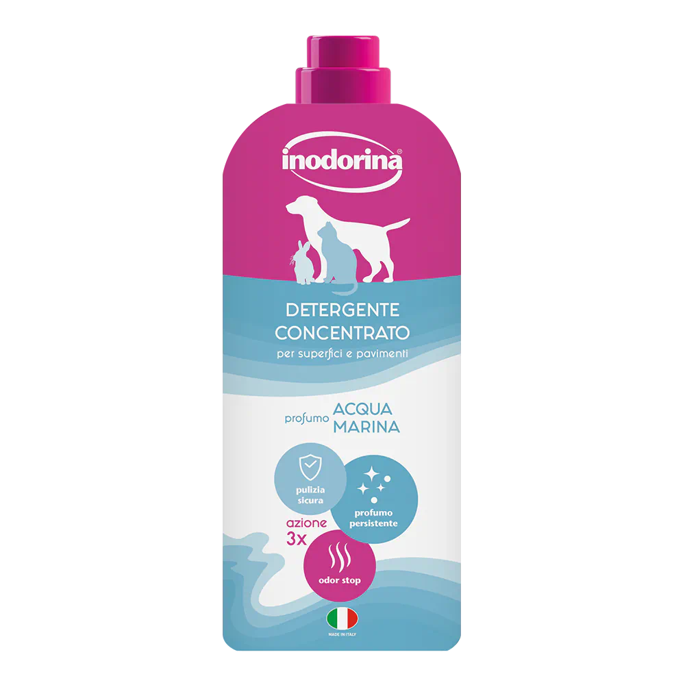 Inodorina Magic Home Acqua Marina, detergent concentrat pentru podele, 1 l
