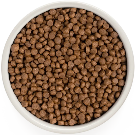 Hrana uscata pentru pisici Grandorf, cu 4 Tipuri de Carne, pentru Pisici Adulti Indoor, produs în utilizare