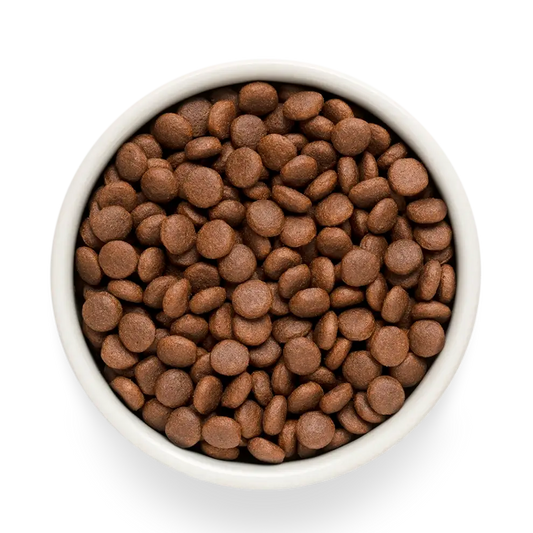 Hrana uscata pentru câini Grandorf, Carne proaspata de miel cu cartof dulce, pentru juniori de rase medii si mari, produs în utilizare