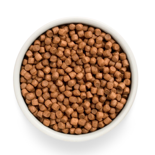 Hrana uscata pentru catei Grandorf, Carne proaspata de miel cu cartof dulce, pentru catei, produs în utilizare