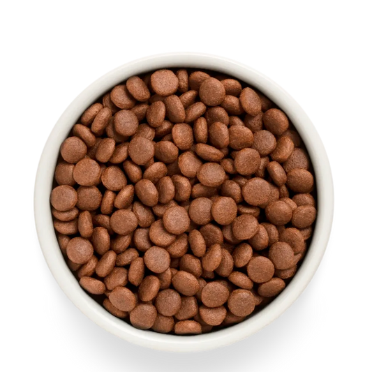 Hrana uscata pentru câini Grandorf, File de somon proaspat cu cartof dulce, pentru rase medii si mari, produs în utilizare