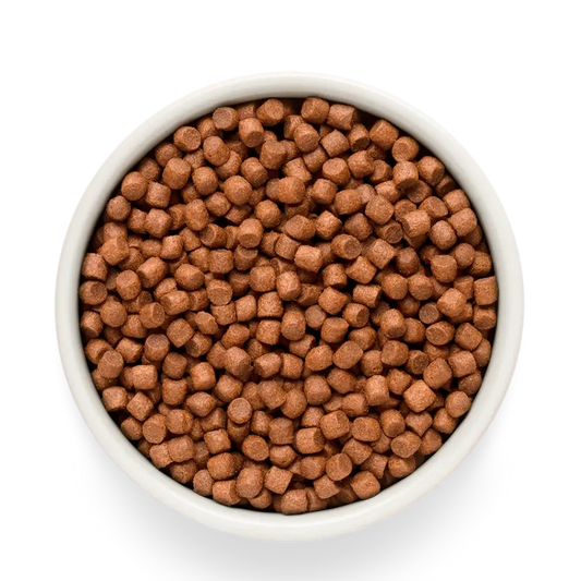 Hrana uscata pentru câini Grandorf, File de somon proaspat cu cartof dulce, pentru rase mici, produs în utilizare