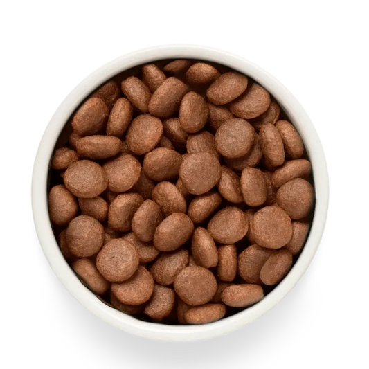 Hrana uscata pentru câini Grandorf, File de somon proaspăt cu cartof dulce, pentru rase mari, produs în utilizare