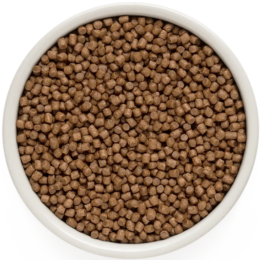 Hrana uscata pentru pisici Grandorf, cu Miel & Curcan, pentru Pisoi, produs în utilizare