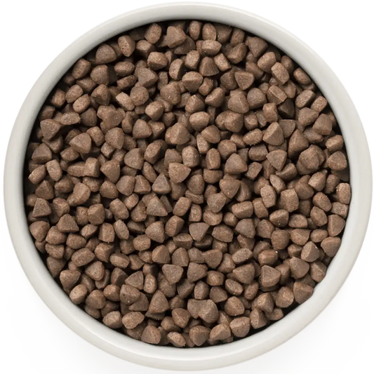 Hrana uscata pentru pisici Grandorf, cu Iepure & Curcan, pentru Pisici Adulti Sterilizate, produs în utilizare