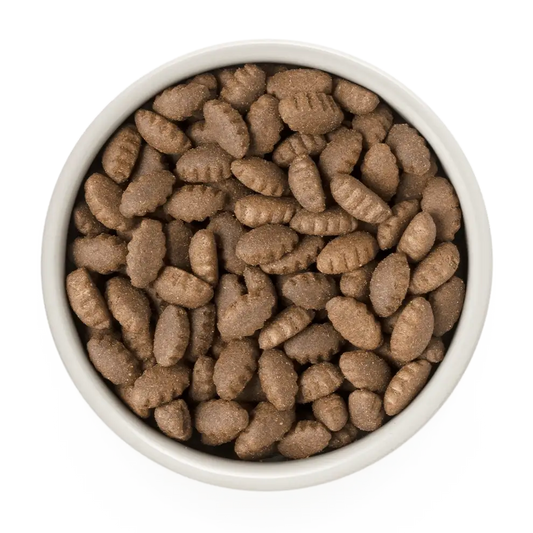 Hrana uscata pentru câini Grandorf, Curcan, pentru rase mari, produs în utilizare