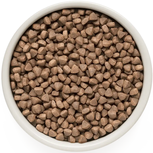 Hrana uscata pentru pisici Grandorf, cu Peste Alb, pentru Pisici Adulti Indoor, Skin & Care, produs în utilizare