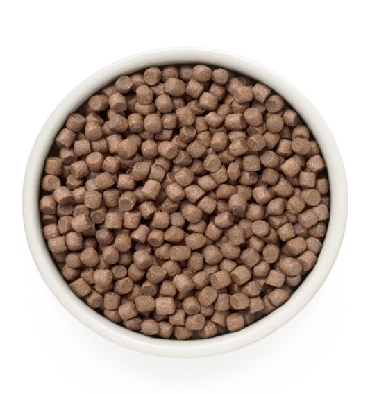 Hrana uscata pentru câini WHITE FISH, pentru câini adulti de rase mini, produs în utilizare