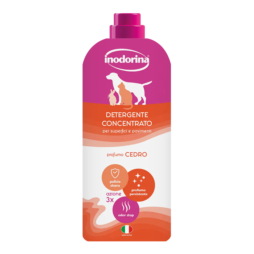Inodorina Magic Home Cedro, detergent concentrat pentru curățare, 1 l