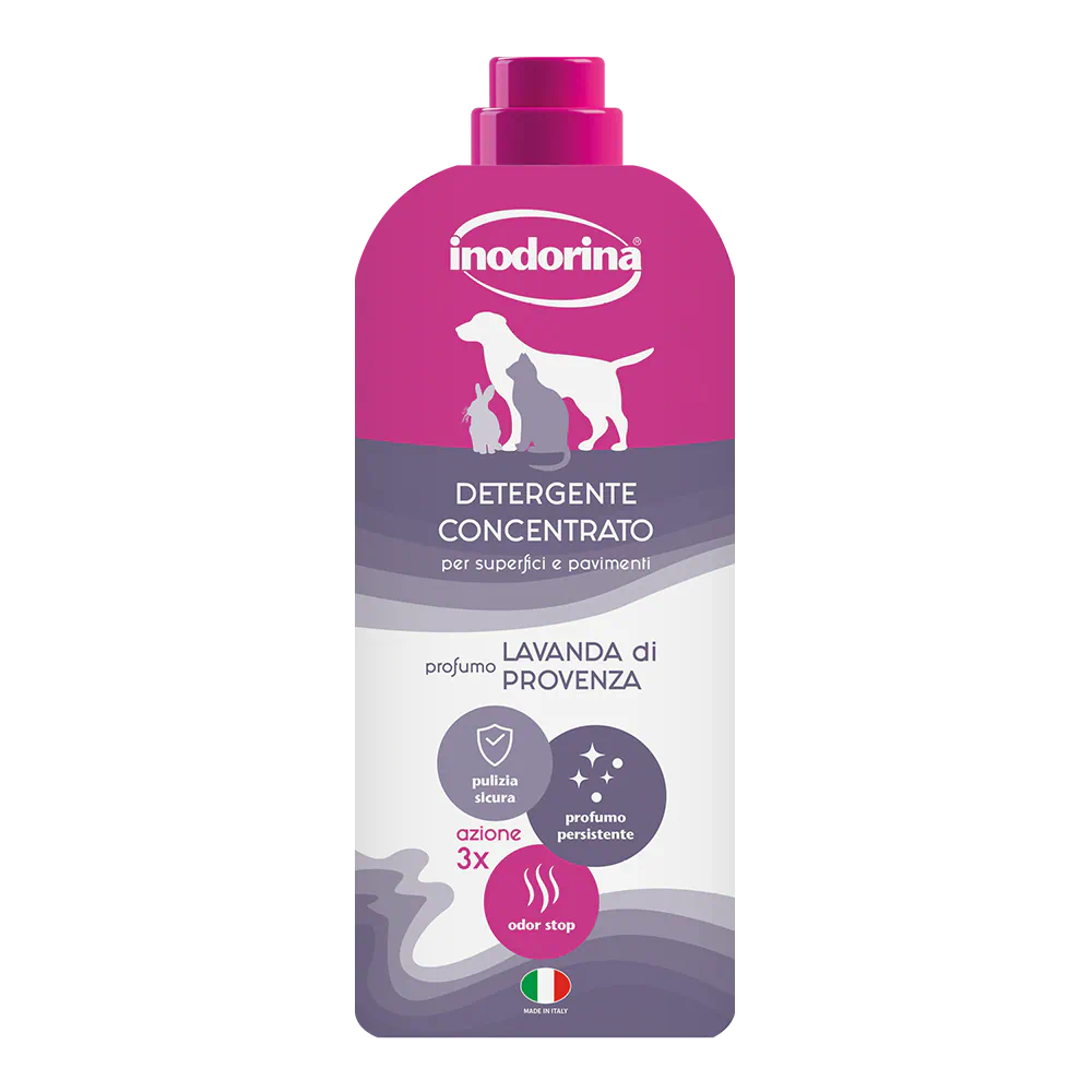 Inodorina Magic Home Lavanda, detergent concentrat pentru podele, 1 l