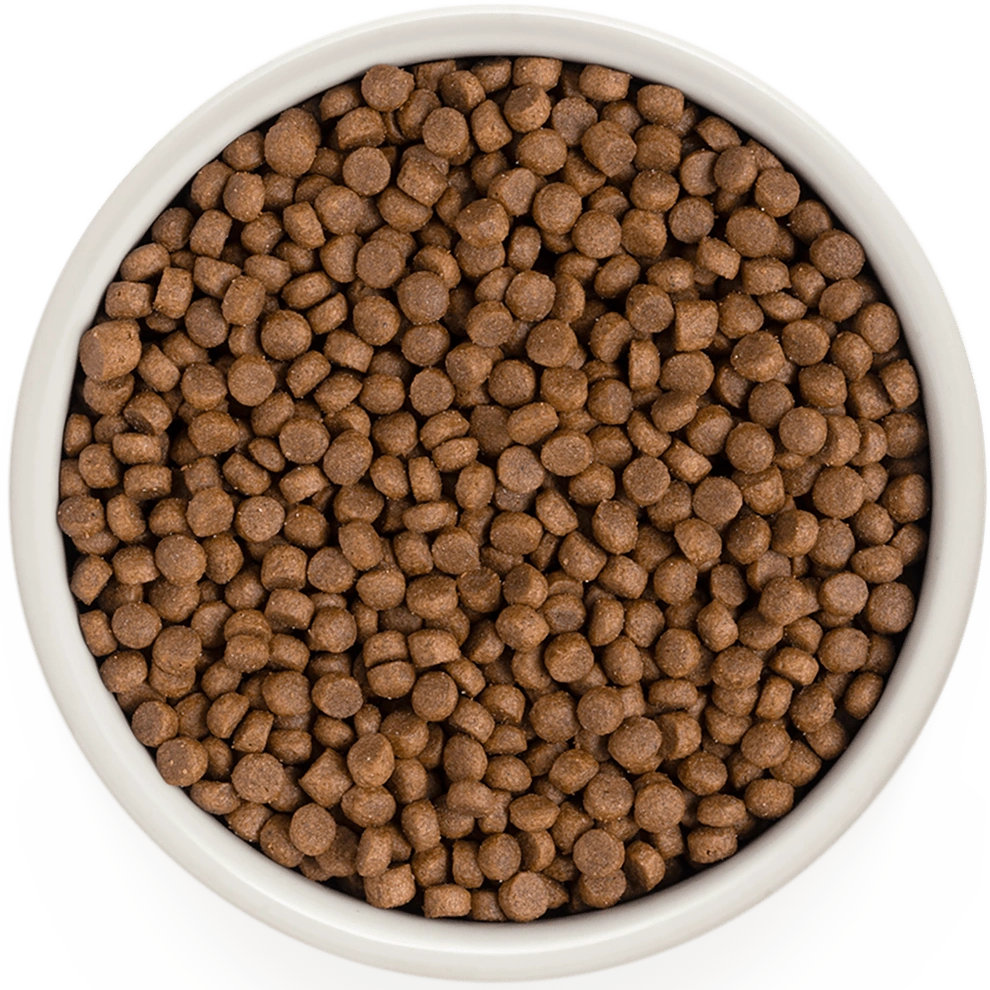 Hrana uscata pentru pisici Grandorf, cu 4 Tipuri de Carne, pentru Pisici Adulti Indoor