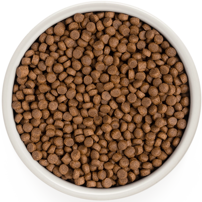 Hrana uscata pentru pisici Grandorf, cu 4 Tipuri de Carne, pentru Pisici Adulti Indoor