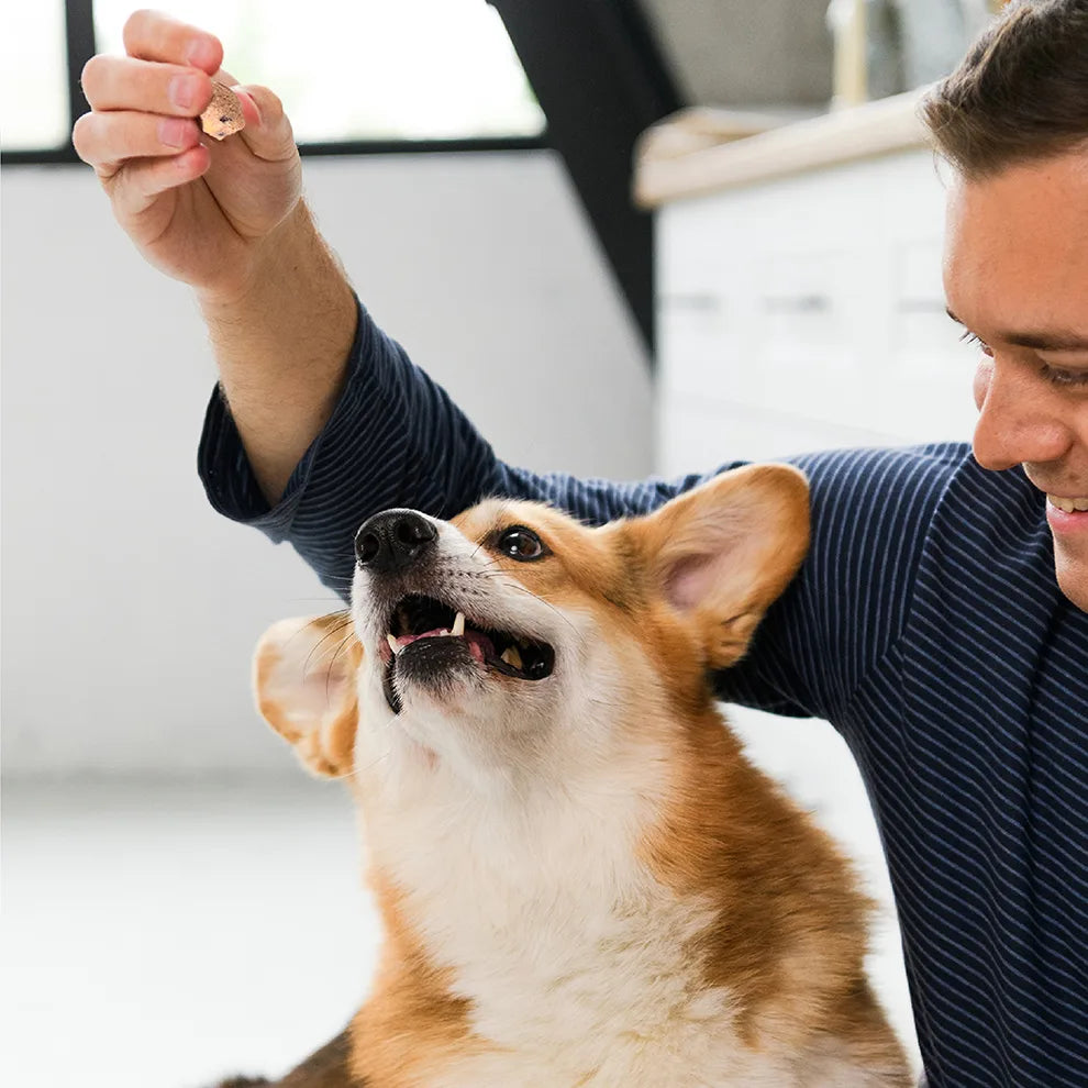 Recompense pentru câini MAVSY, sufleu din curcan cu afine, 50 g