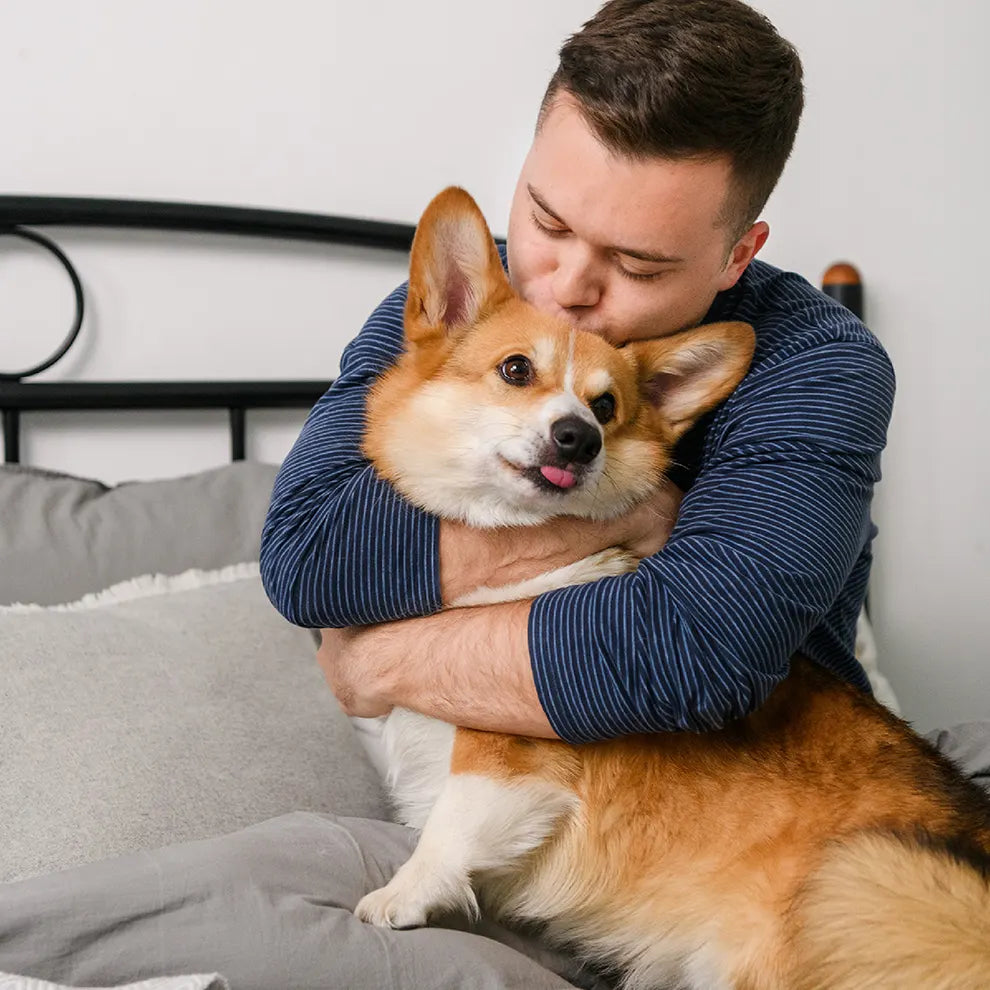Recompense pentru câini MAVSY, sufleu din curcan cu afine, 50 g