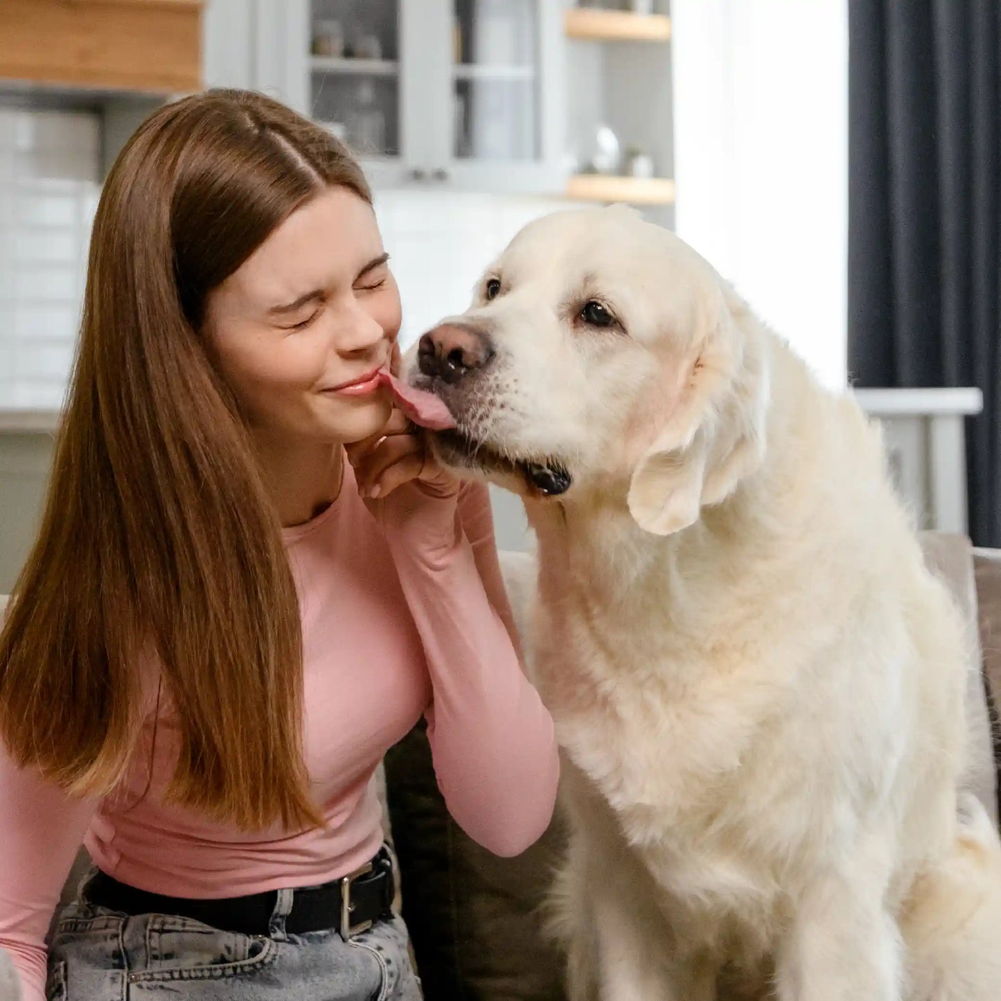 Recompense pentru câini MAVSY, filet mignon din vita cu rosii uscate, 50 g