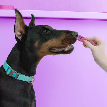 Лакомства за кучета MAVSY, шоколадов фондан с лилав картоф, 50 г