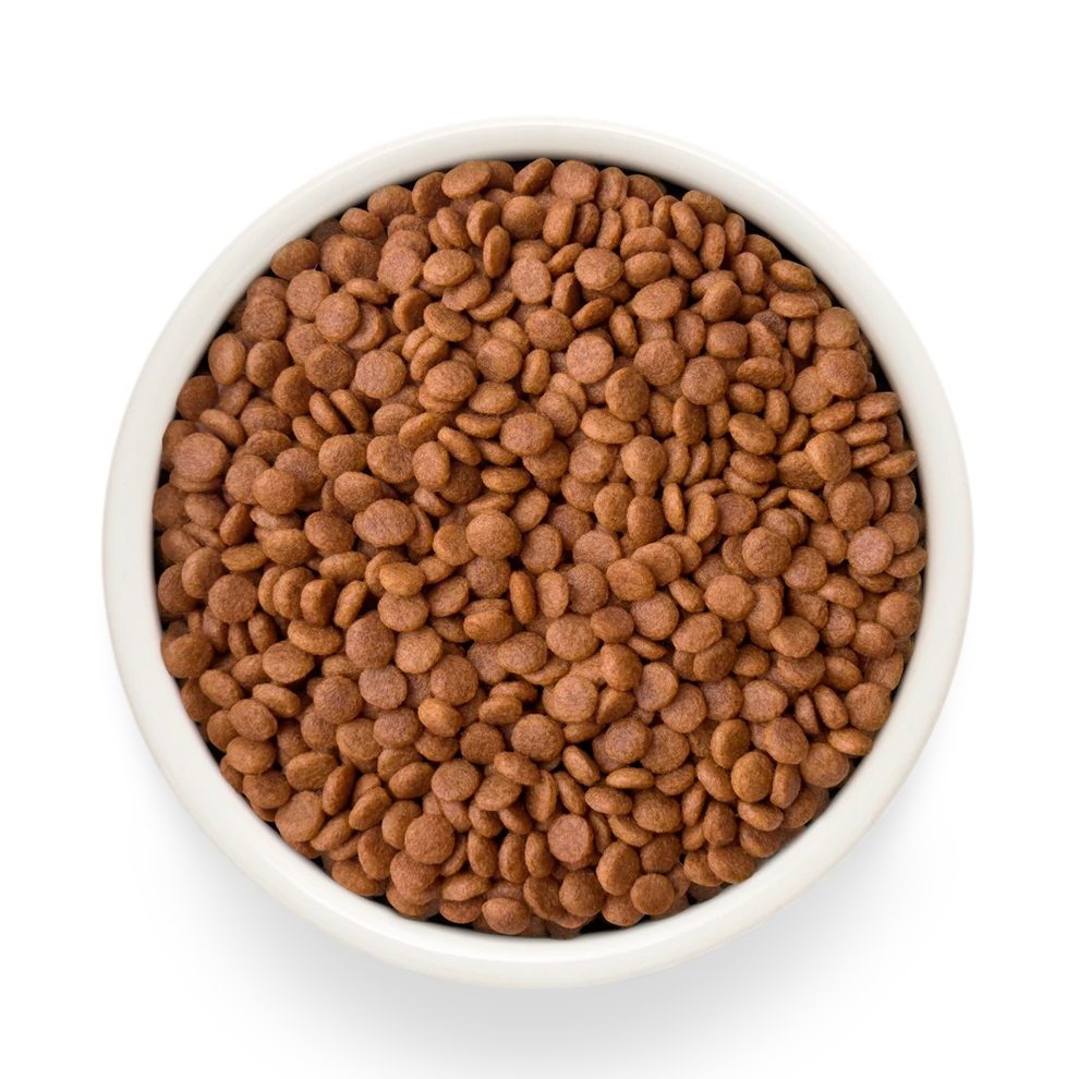 Hrana uscata pentru pisici Grandorf, cu Carne de Rata Proaspata si Cartofi Dulci, pentru Pisici Adulti