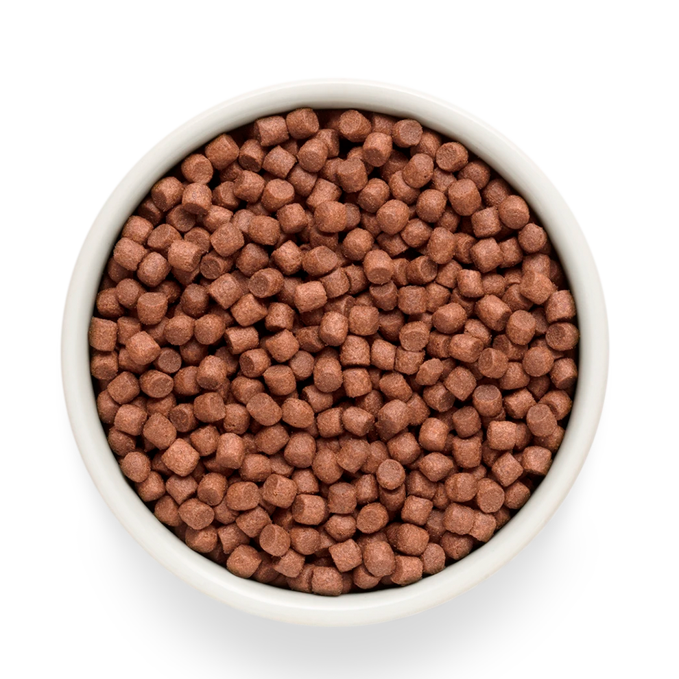 Суха храна за кучета Grandorf, Прясно агнешко със сладки картофи, за малки породи 