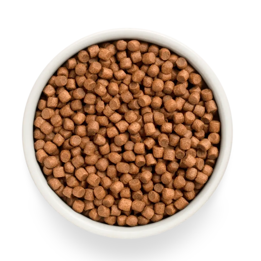 Hrana uscata pentru catei Grandorf, Carne proaspata de miel cu cartof dulce, pentru catei, produs în utilizare