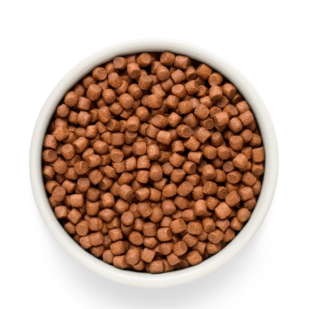 Суха храна за кучета Grandorf, филе от прясна сьомга със сладки картофи, за малки породи