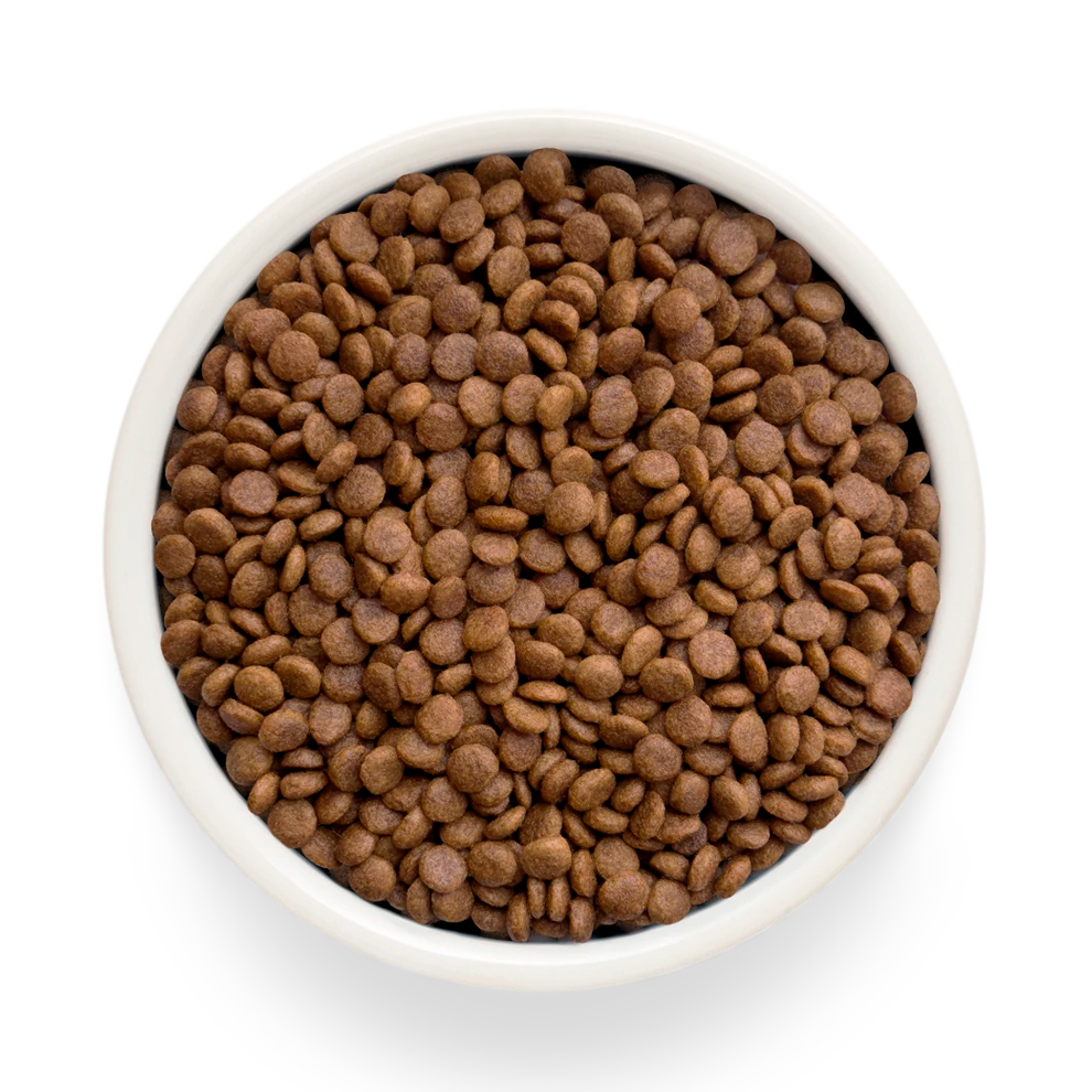 Hrana uscata pentru pisici Grandorf, cu Carne de Curcan Proaspata si Cartofi Dulci, pentru Pisici Adulti