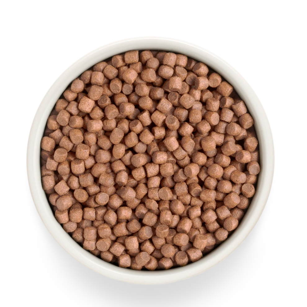 Суха храна за кучета Grandorf, прясно пуешко месо със сладки картофи, за малки породи