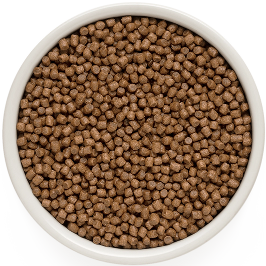 Hrana uscata pentru pisici Grandorf, cu Miel & Curcan, pentru Pisoi