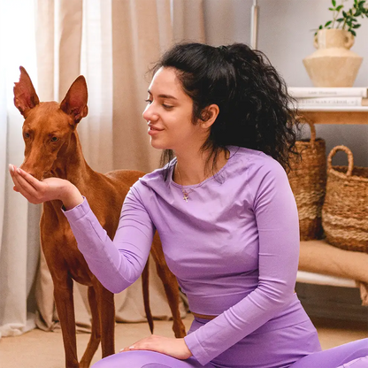 Recompense pentru câini MAVSY, ciocanel de rata cu calciu, 100 g