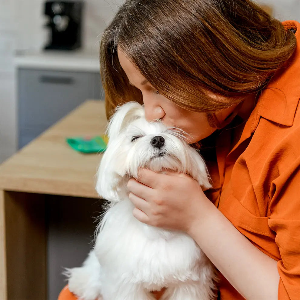 Recompense pentru câini MAVSY, Philadelphia cu somon si icre rosii, 100 g