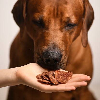 Лакомства за кучета MAVSY, чипс от патешко месо със семена от чиа и морков, 50 г