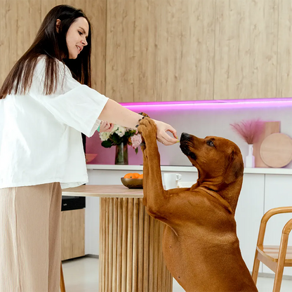 Лакомства за кучета MAVSY, Телешки стек със сушени домати върху тиквена коричка, 100 г