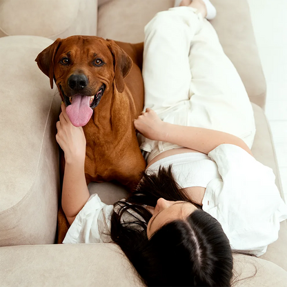 Лакомства за кучета MAVSY, Телешки стек със сушени домати върху тиквена коричка, 100 г