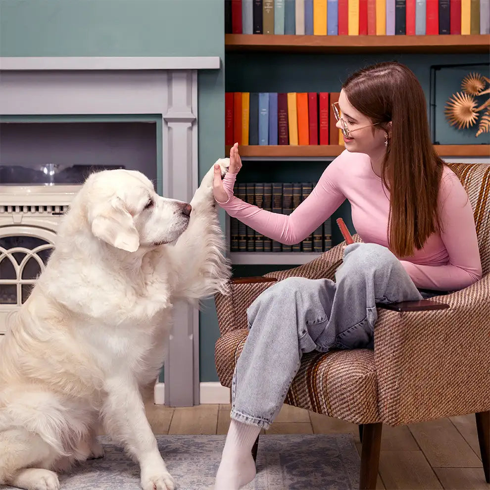 Лакомства за кучета MAVSY, овче бастурма и лилав картоф, 100 г