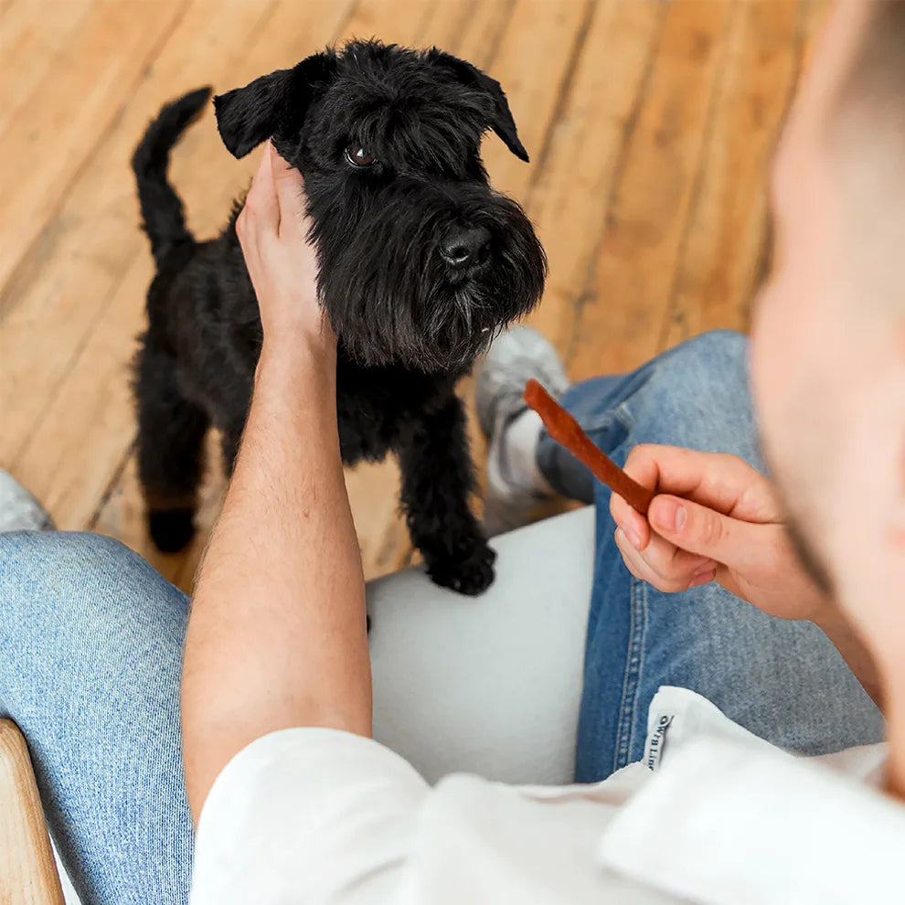 Лакомства за кучета MAVSY, патешки пръчици за грижа за зъбите и венците, 120 г
