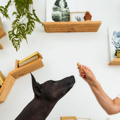 Recompense pentru câini MAVSY, pateu de strut cu sos de merisoare, 50 g