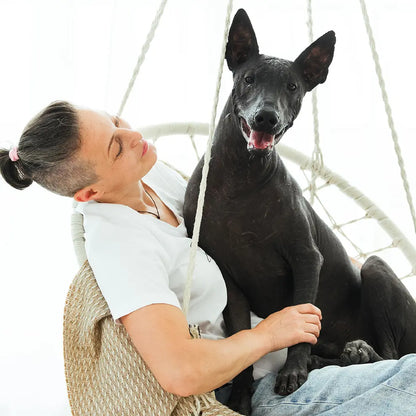 Recompense pentru câini MAVSY, pateu de strut cu sos de merisoare, 50 g