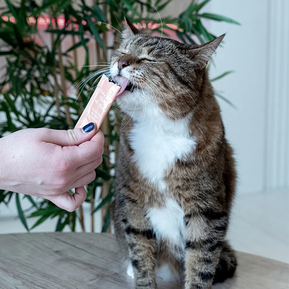 Recompense pentru pisici MAVSY, cu somon si creveti, 75 g