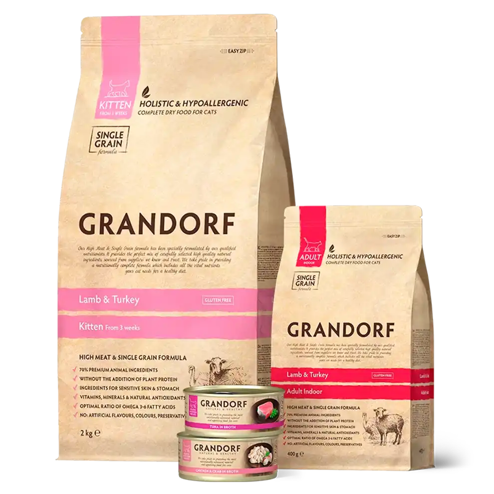 Pachet de start pentru pisoi Grandorf