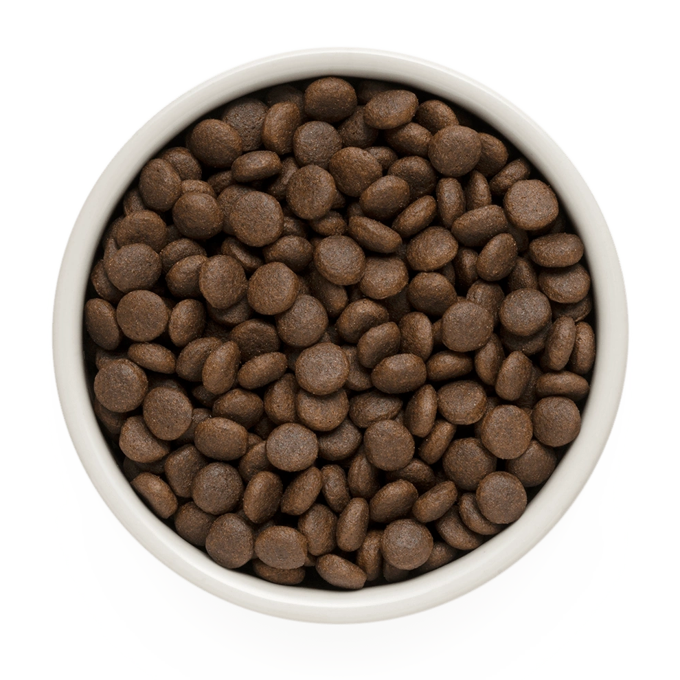 Hrana uscata pentru câini Grandorf, Iepure si Curcan, pentru rase medii si mari