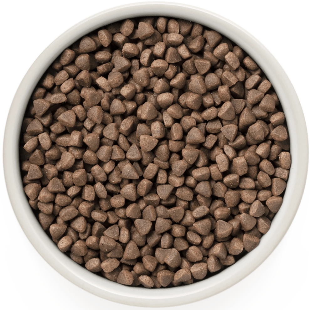 Hrana uscata pentru pisici Grandorf, cu Iepure & Curcan, pentru Pisici Adulti Sterilizate