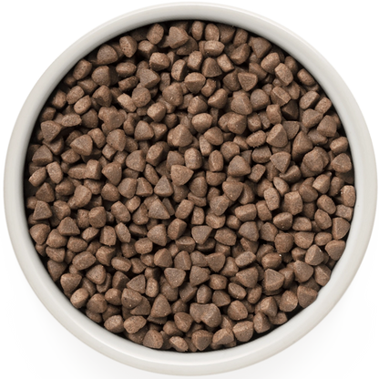 Hrana uscata pentru pisici Grandorf, cu Iepure & Curcan, pentru Pisici Adulti Sterilizate