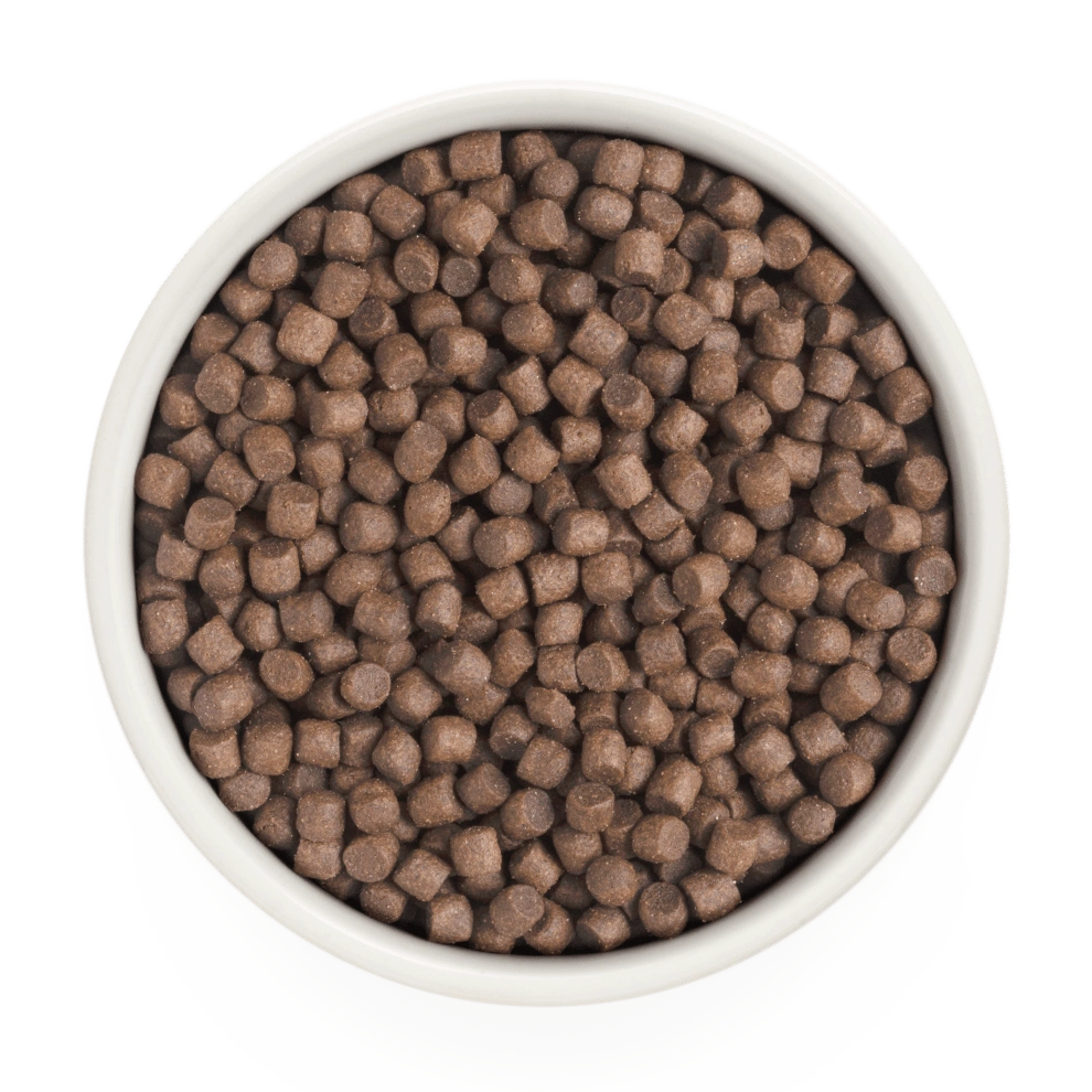 Hrana uscata pentru câini Grandorf, Curcan, pentru câini adulti de rase mici