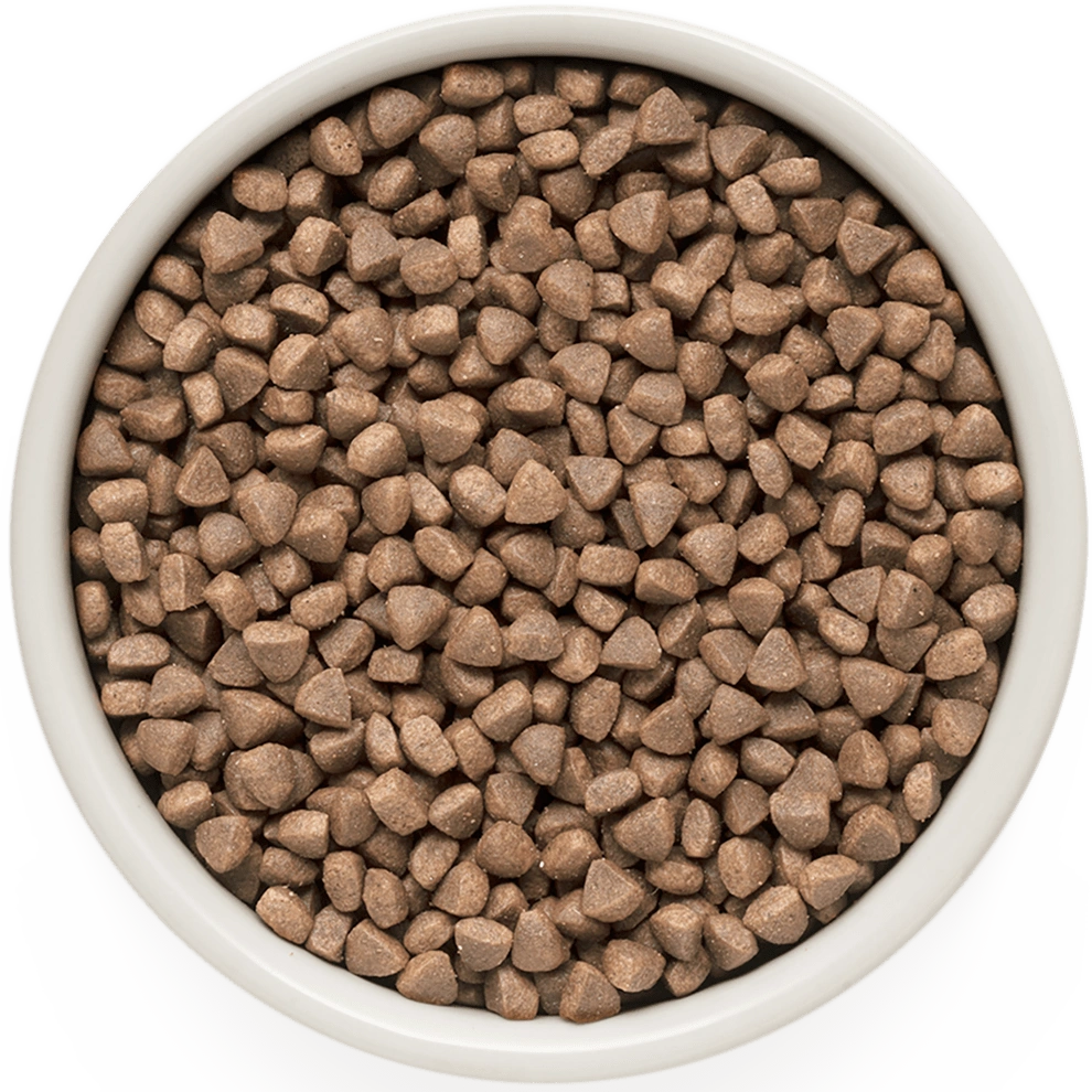 Hrana uscata pentru pisici Grandorf, cu Peste Alb, pentru Pisici Adulti Indoor, Skin & Care