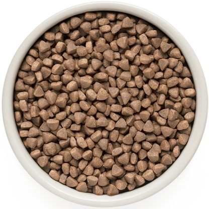 Hrana uscata pentru pisici Grandorf, cu Peste Alb, pentru Pisici Adulti Indoor, Skin & Care