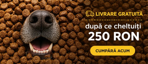 Promo banner