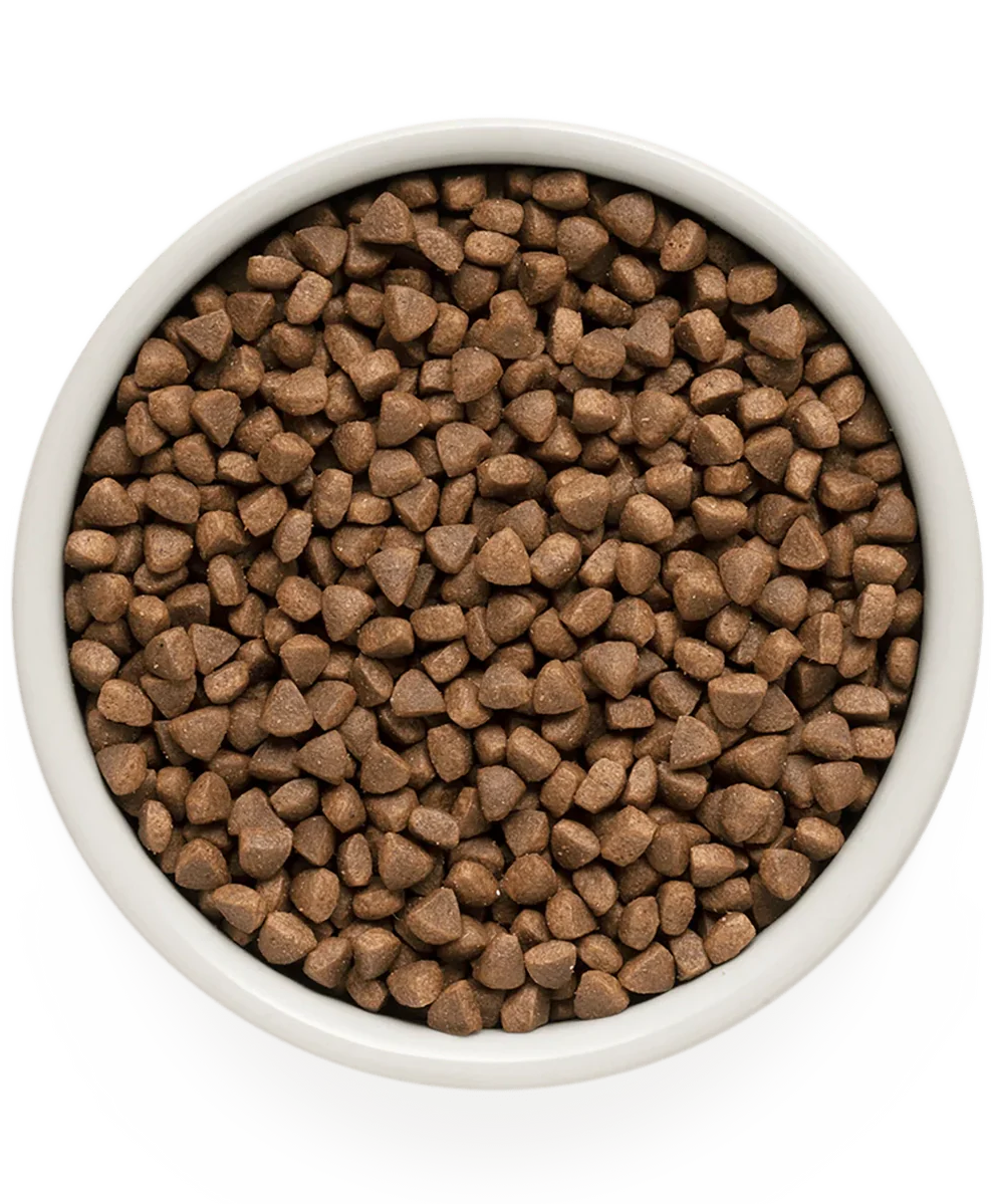 Hrana uscata pentru pisici Grandorf, cu Miel & Curcan, pentru Pisici Adulti Indoor