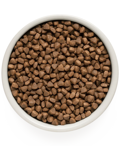 Hrana uscata pentru pisici Grandorf, cu Miel & Curcan, pentru Pisici Adulti Indoor