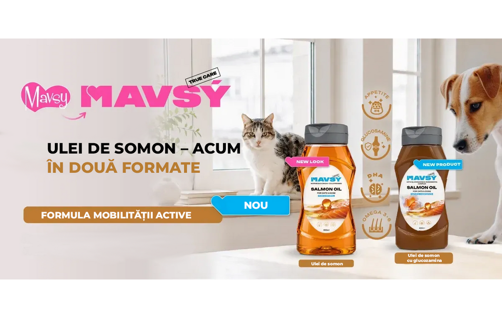 Promo banner